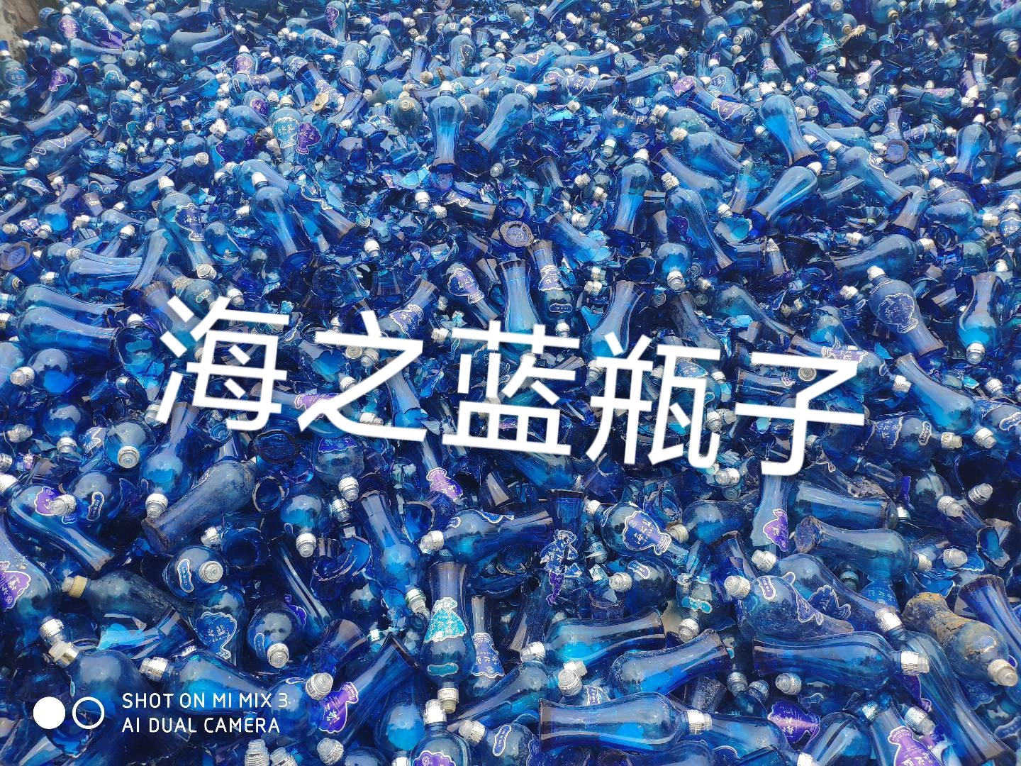 梁溪区海之蓝瓶回收